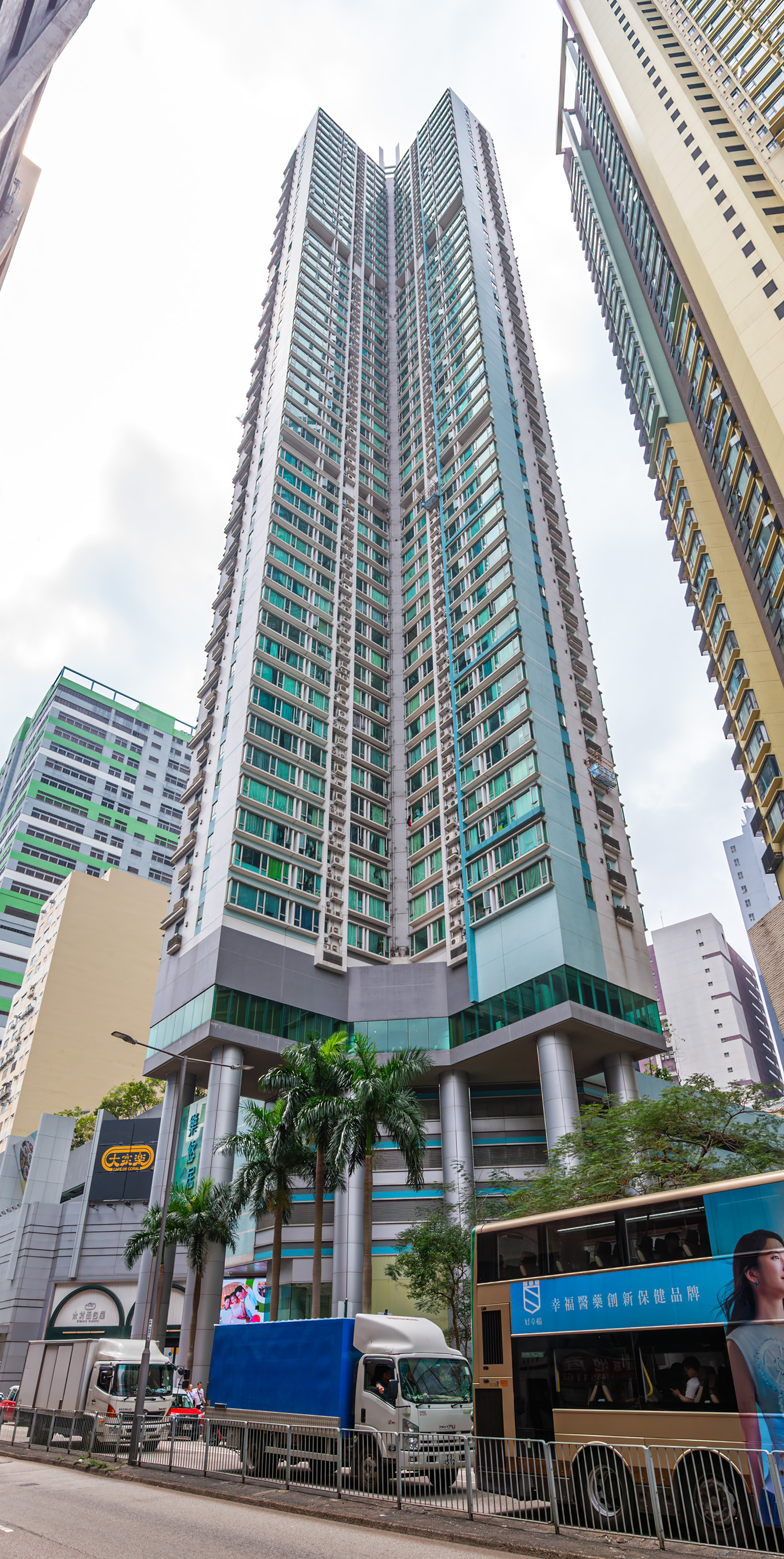 Indi Home - Looking up