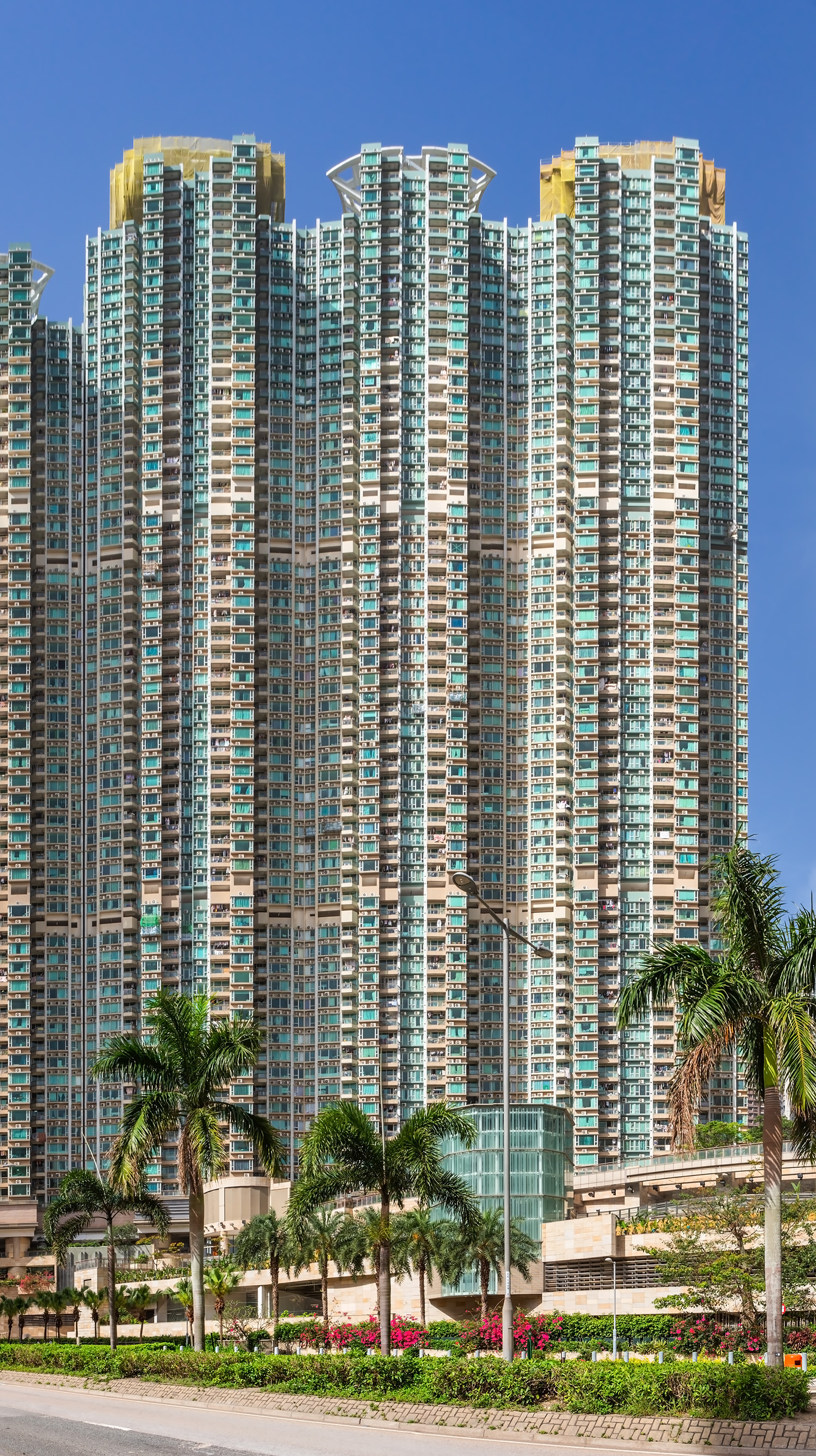 LOHAS Park Le Prestige Towers 2,3,5 - View from the northeast