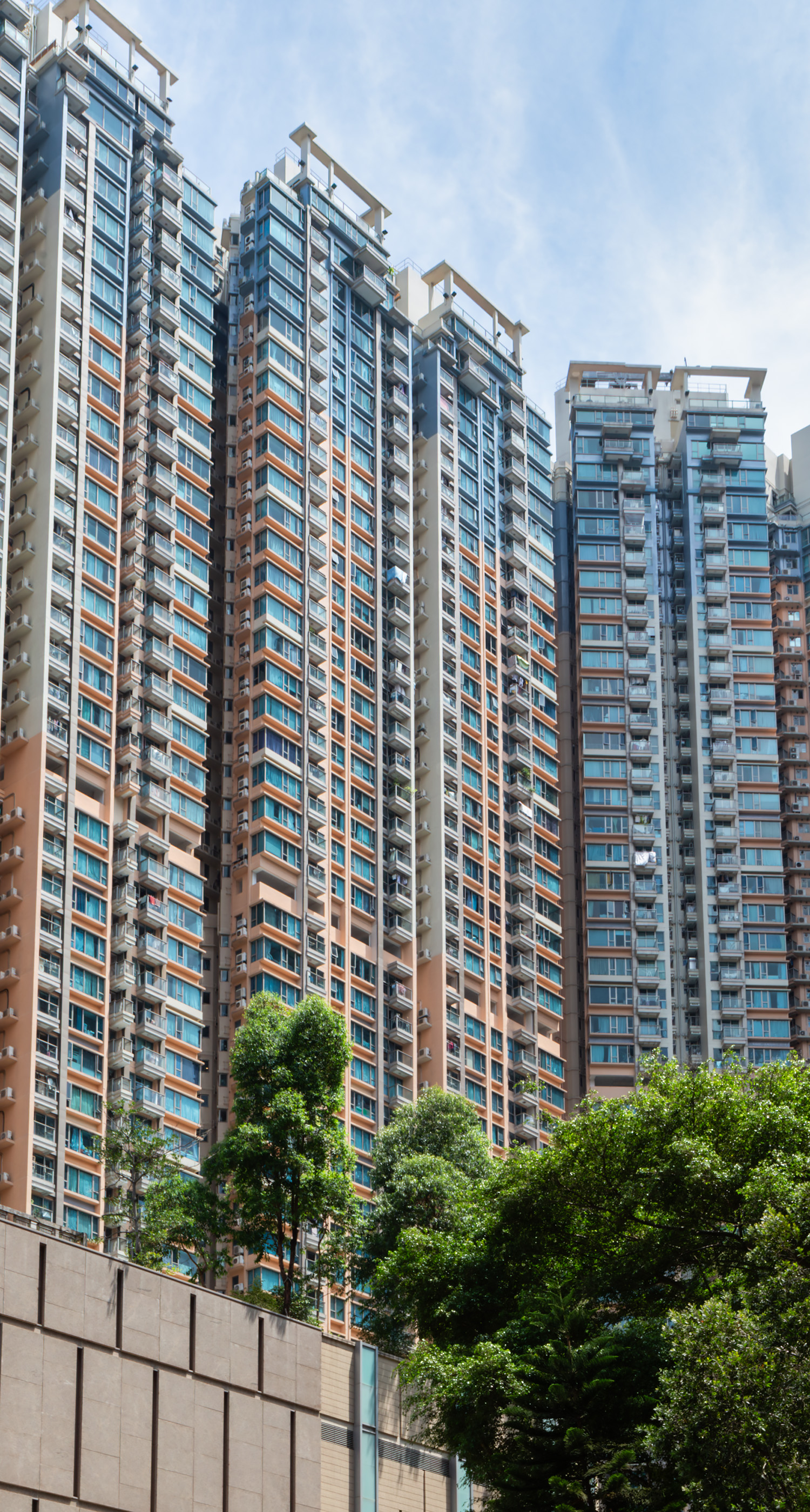 Lake Silver Tower 5 - Looking up