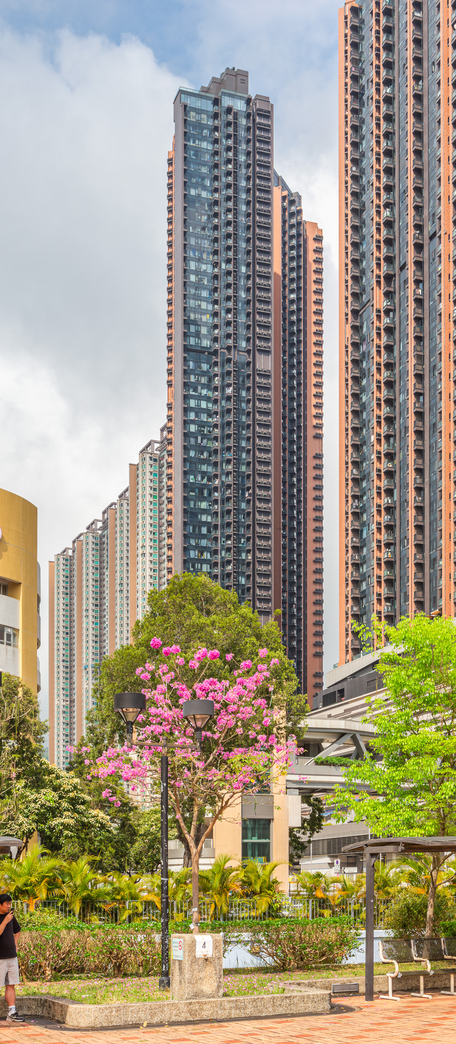 The Pavilia Farm II Tower 5 - View from the east