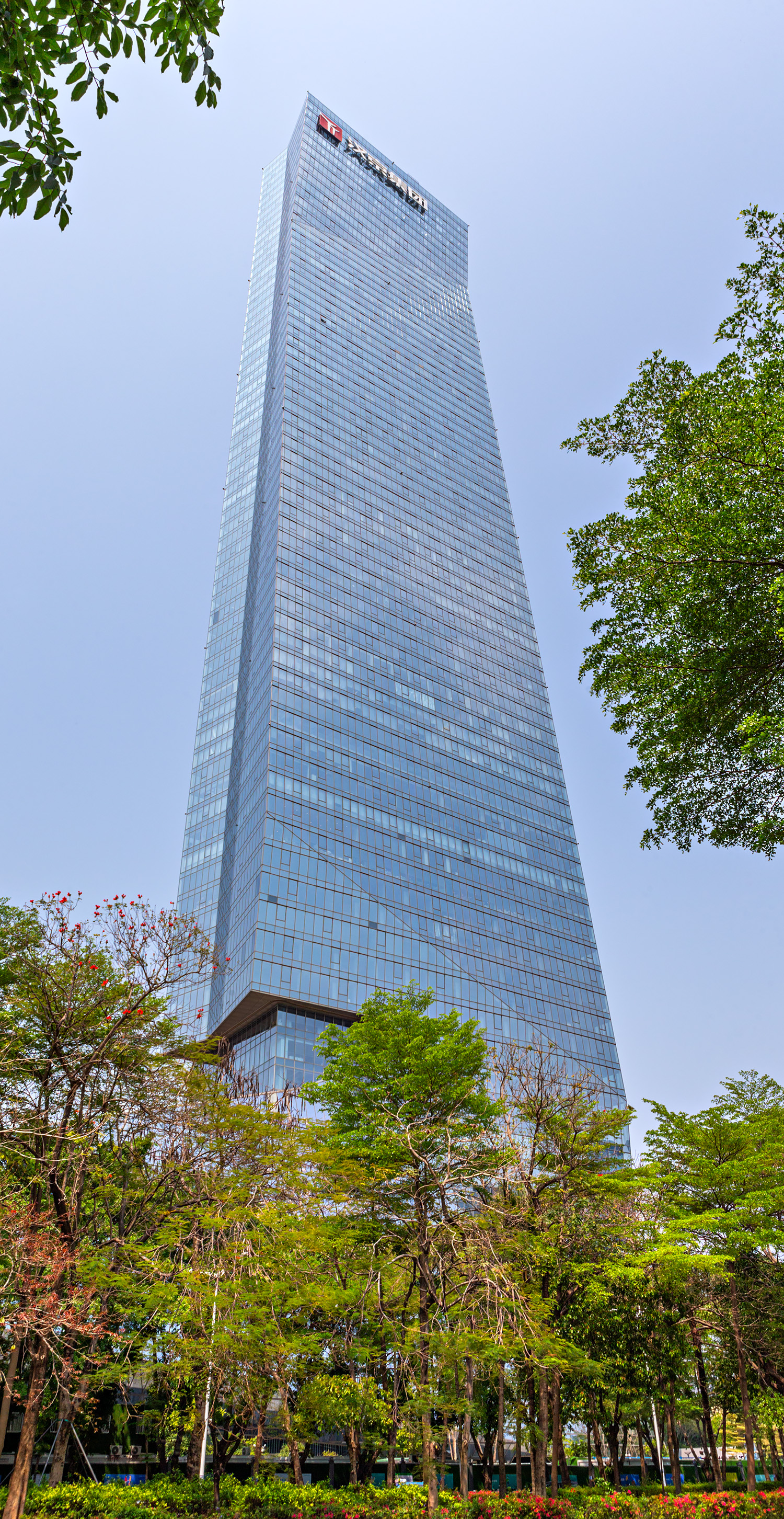 Hanking Center - Looking up
