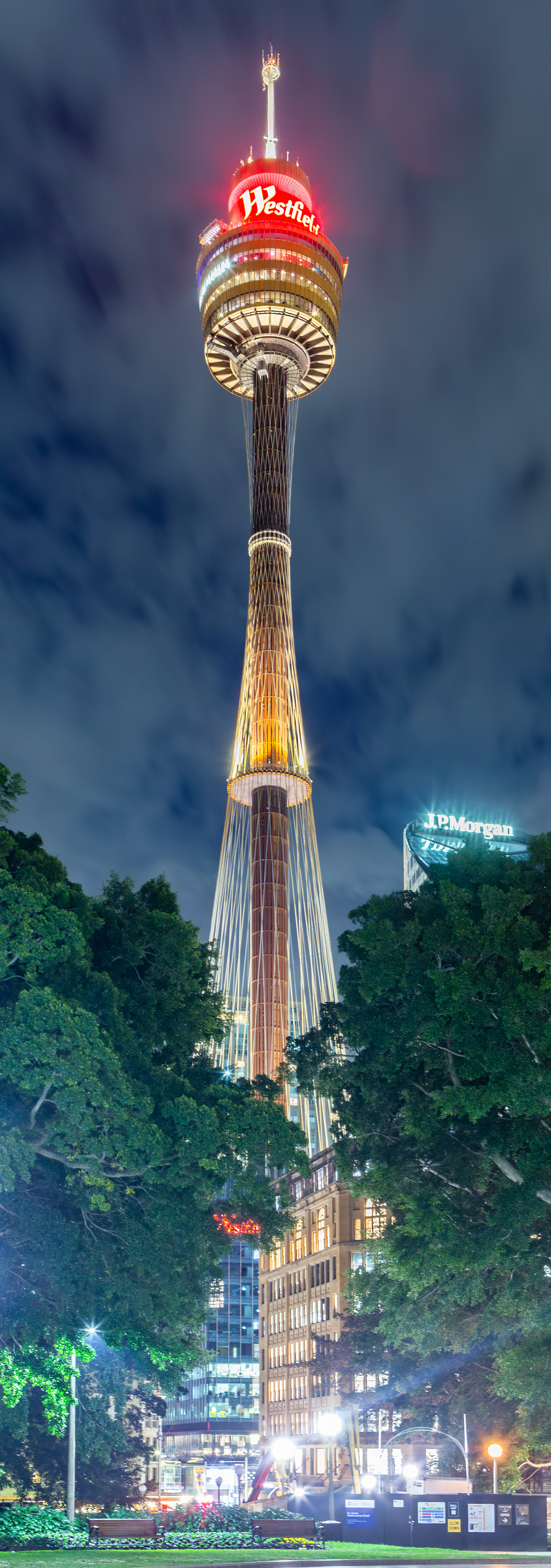 Sydney Tower - View from Hyde Park