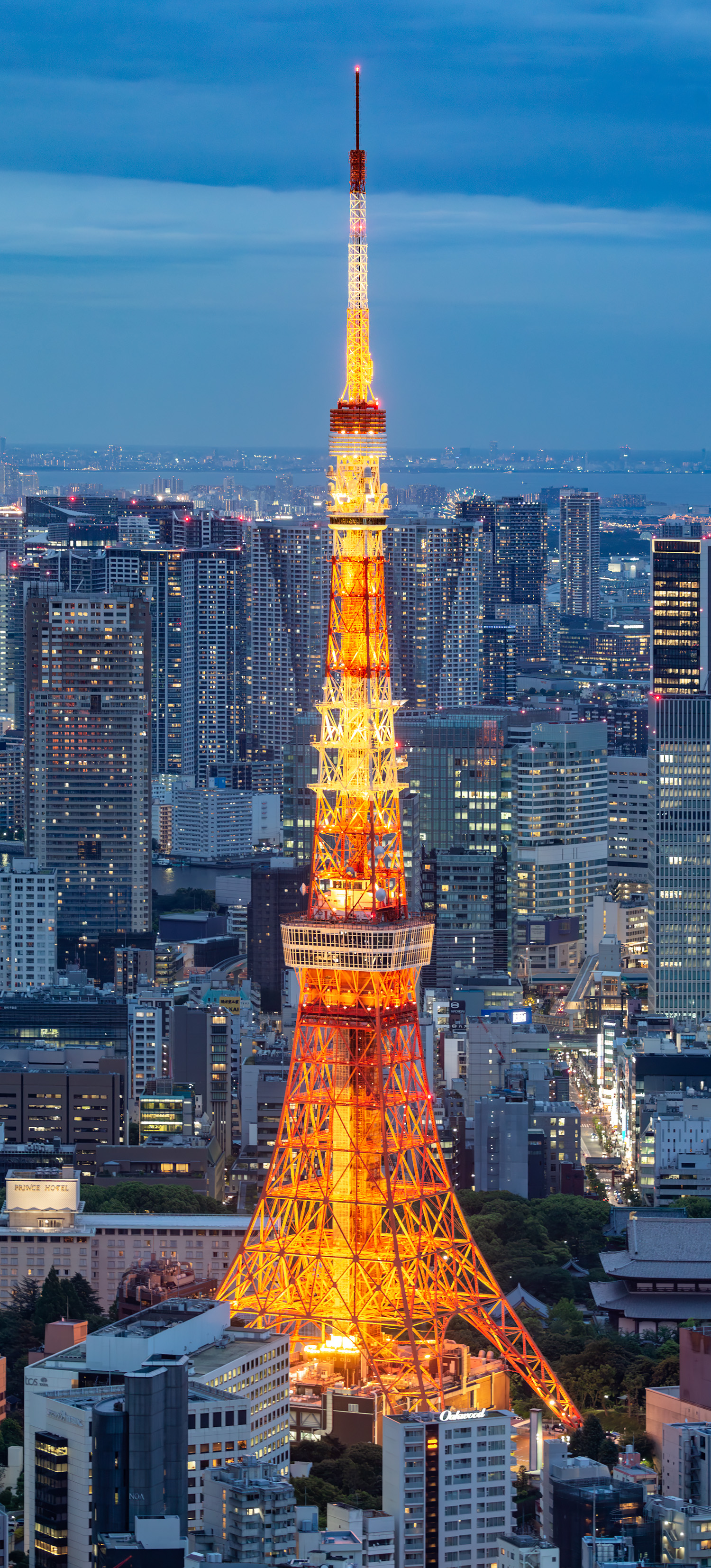Tokyo Tower - View from Roppongi Hills Mori Tower